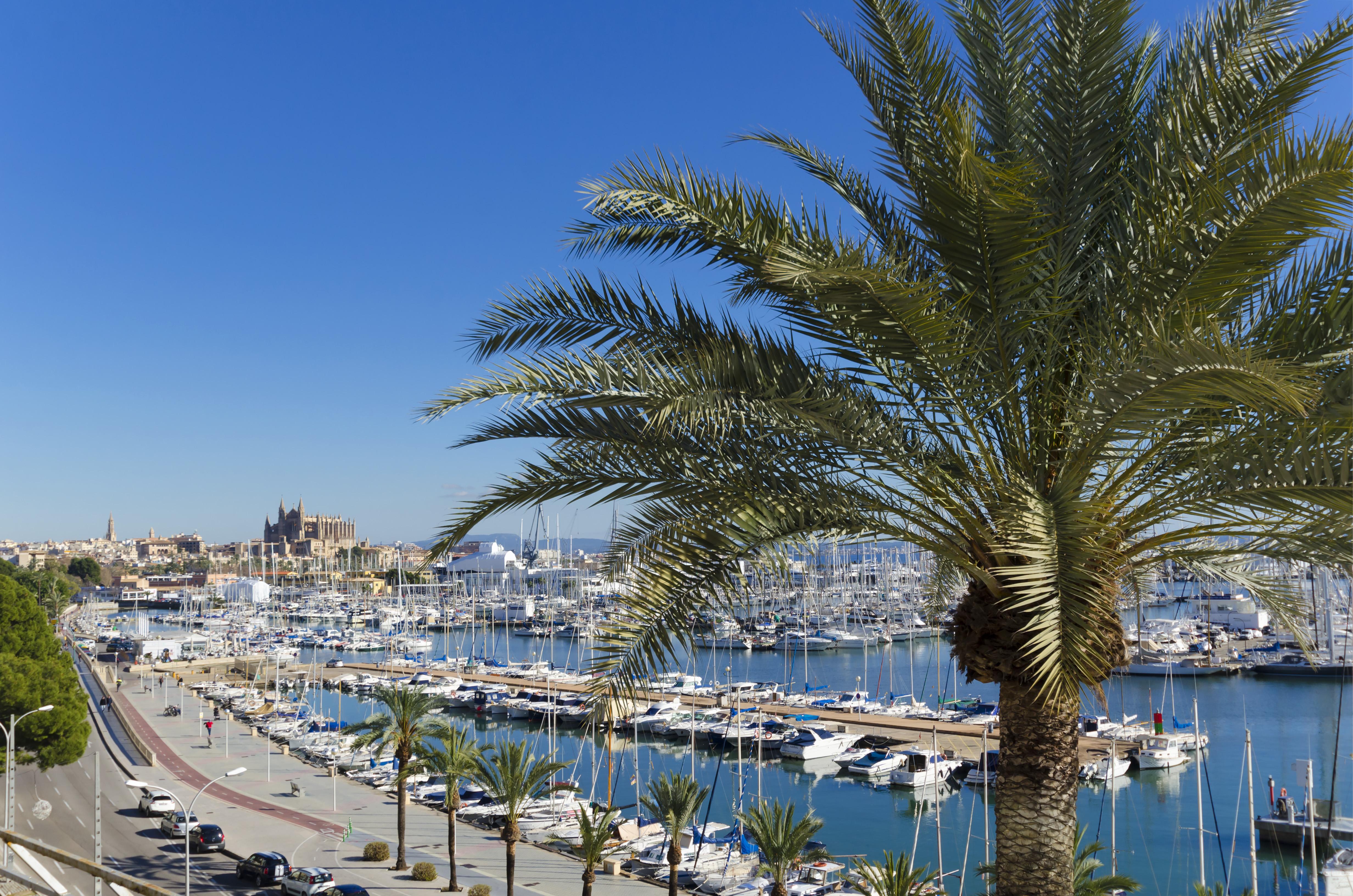 Hotel Mirador Palma